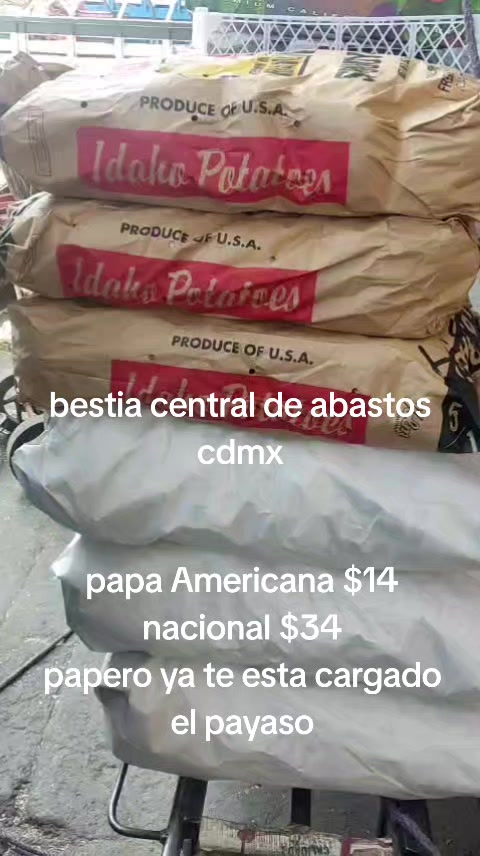 @Bestia central CDMX