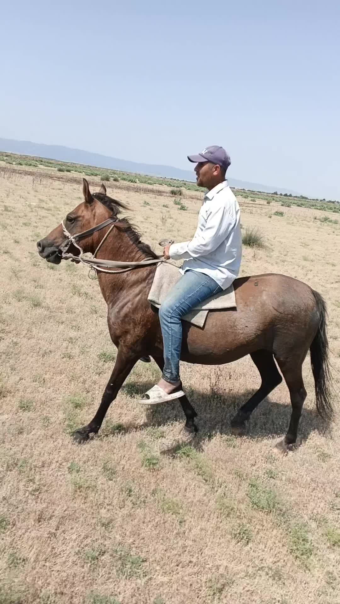 @Zehertulugu_44