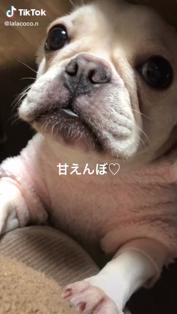 @たっちゃん。