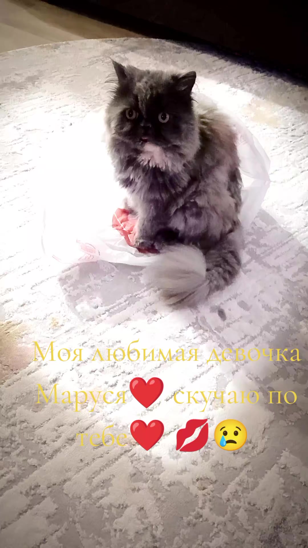 @✅Малинка✅