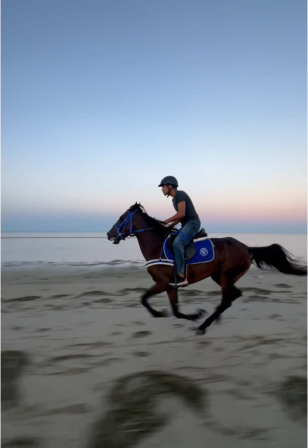 @Feres Ben Amor 🏇