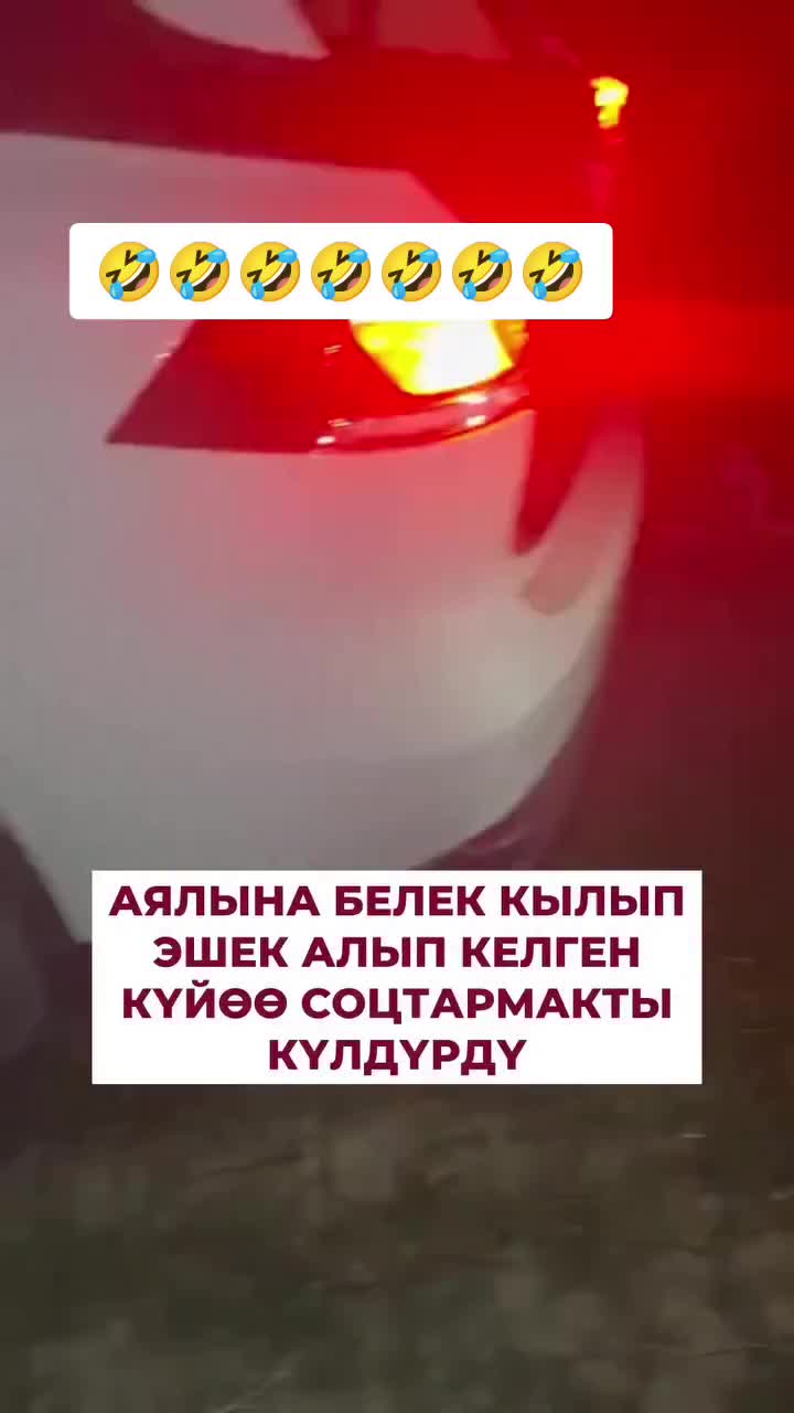 @Дикий Карышкыр🐺