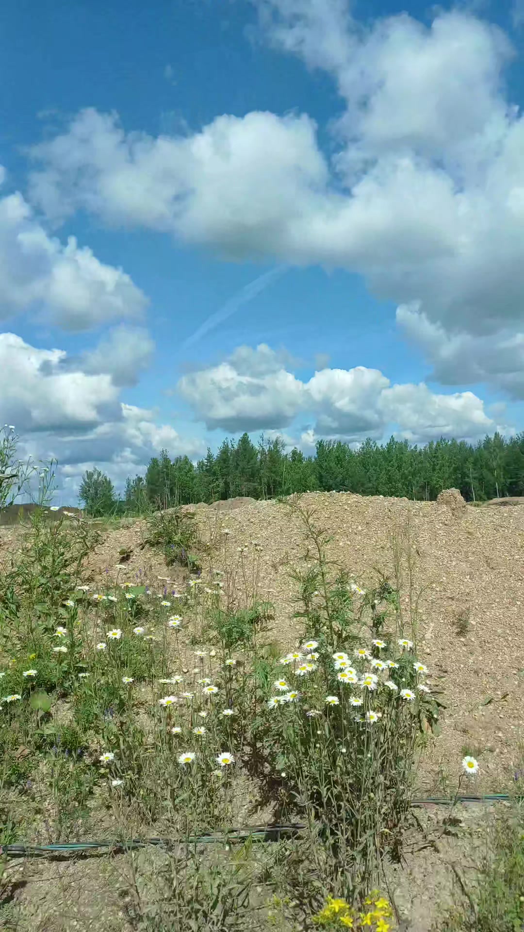 @Ольга