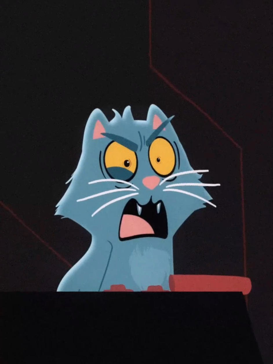 @Sydney the Song Cat