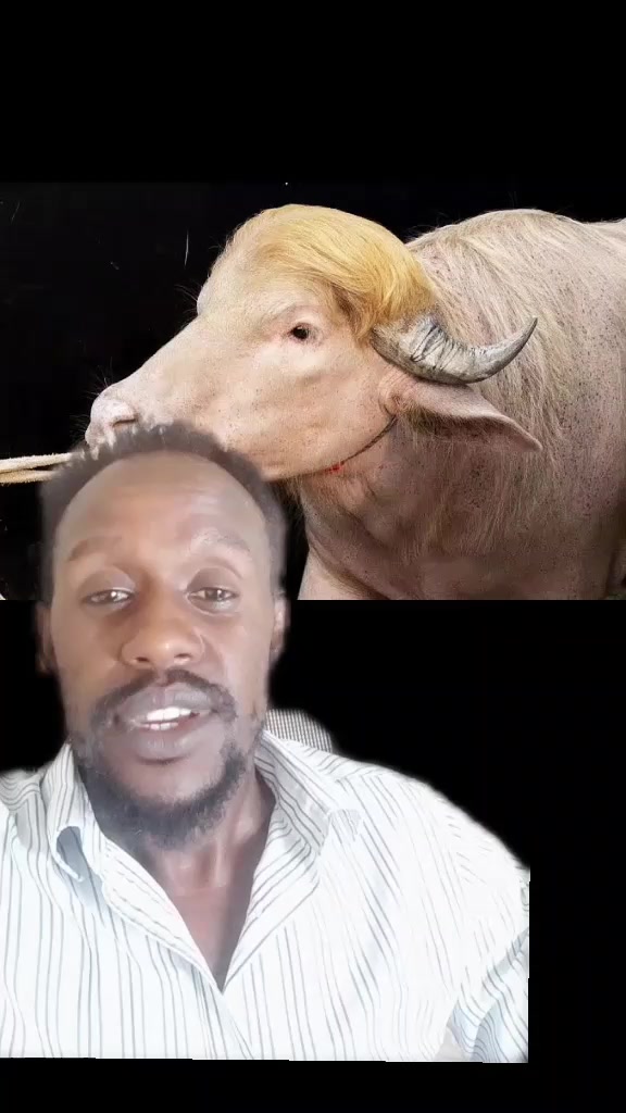 @Eyasu