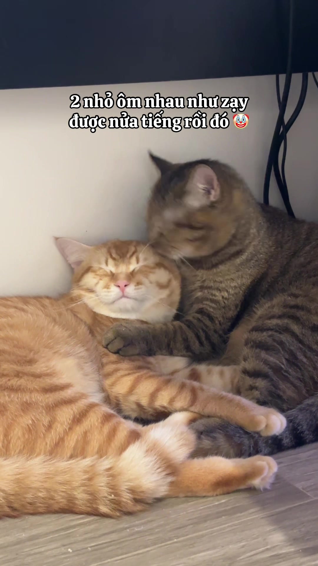 @Em p&eacute; Cam 🍊🧡