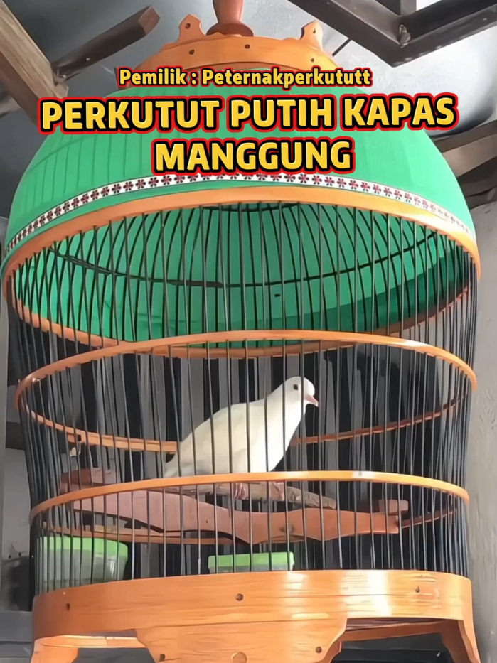 @Bintang Kecil