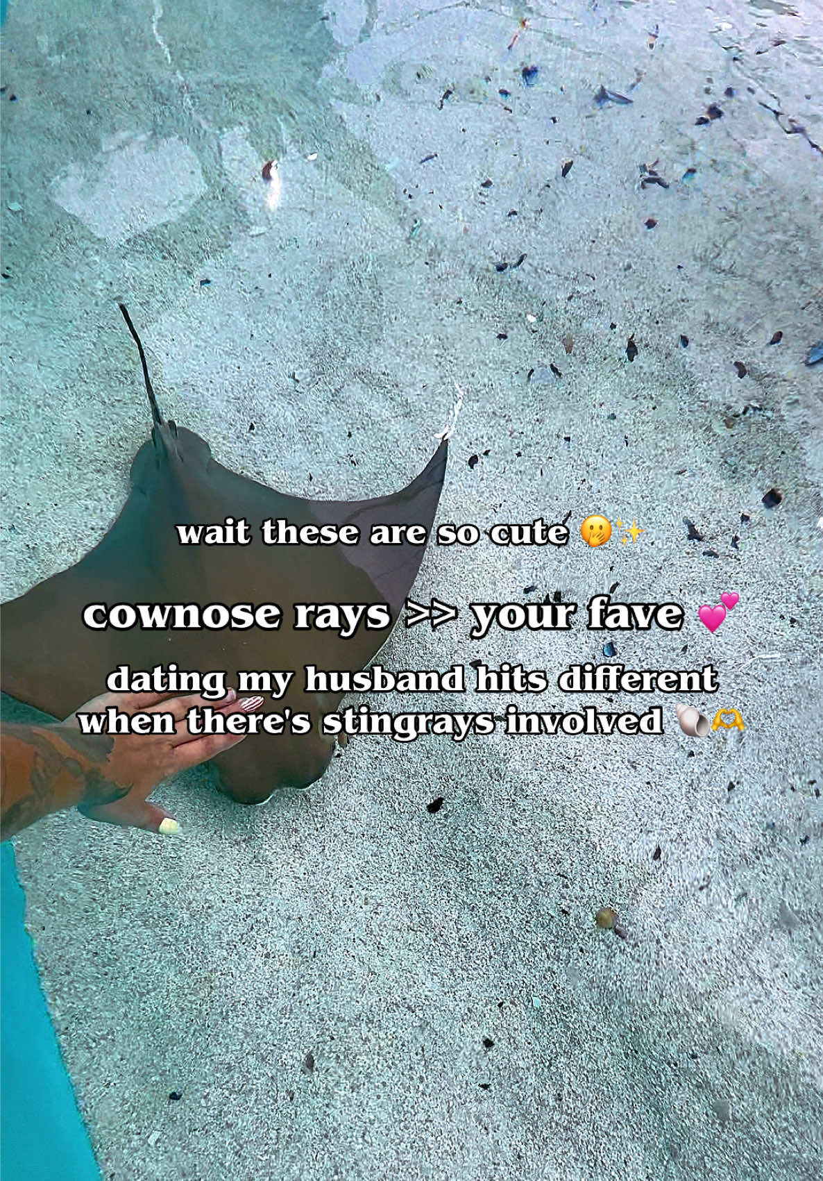 @travelwithchardonae
