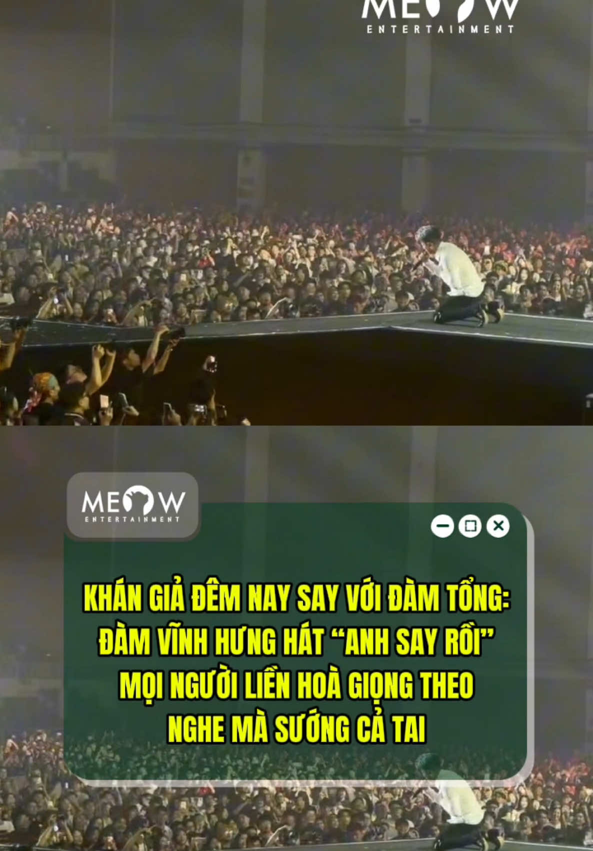 @MEOW ENTERTAINMENT