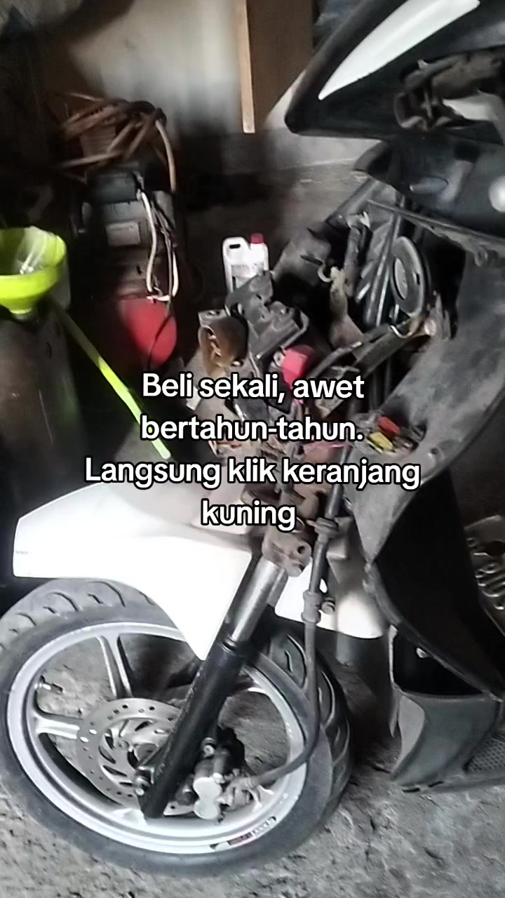 @Ayuu