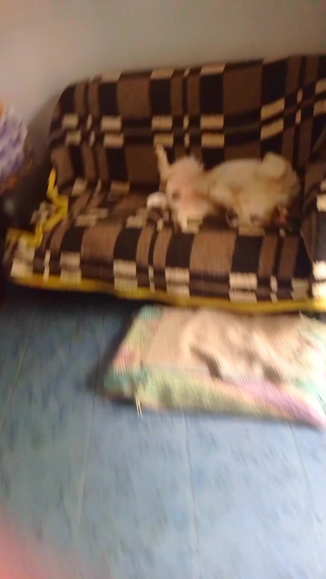 @noracherry2020
