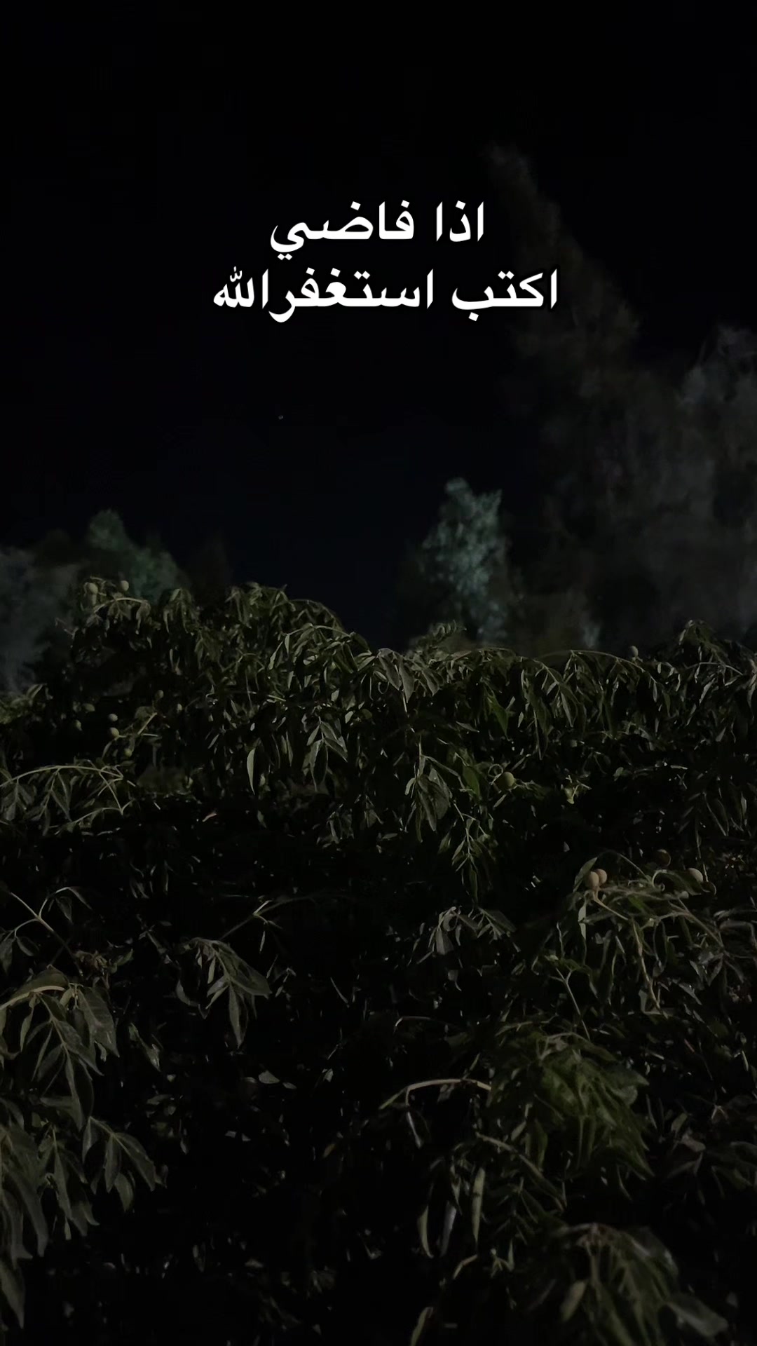 @هيـــّــآف 𓃚