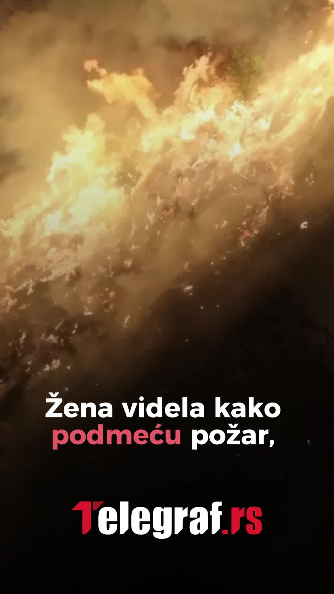@telegrafrs