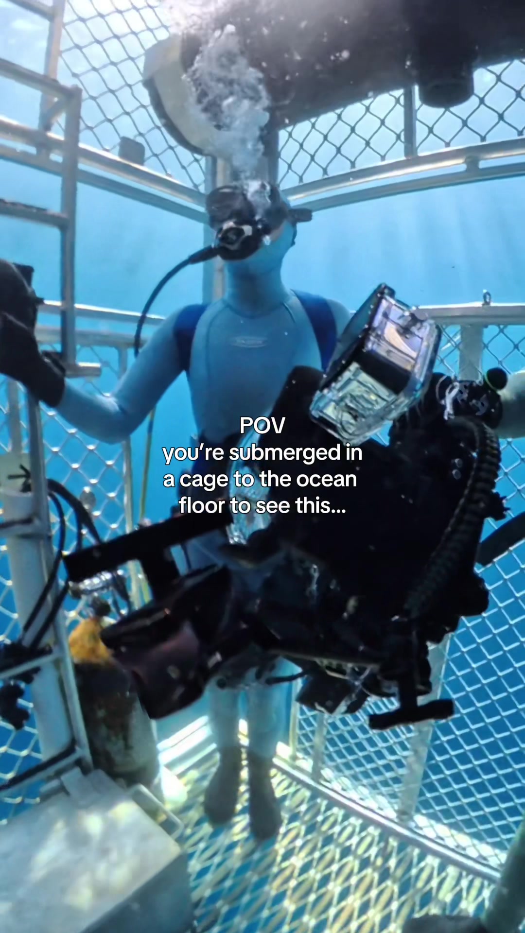 @Kendall | Shark Photographer