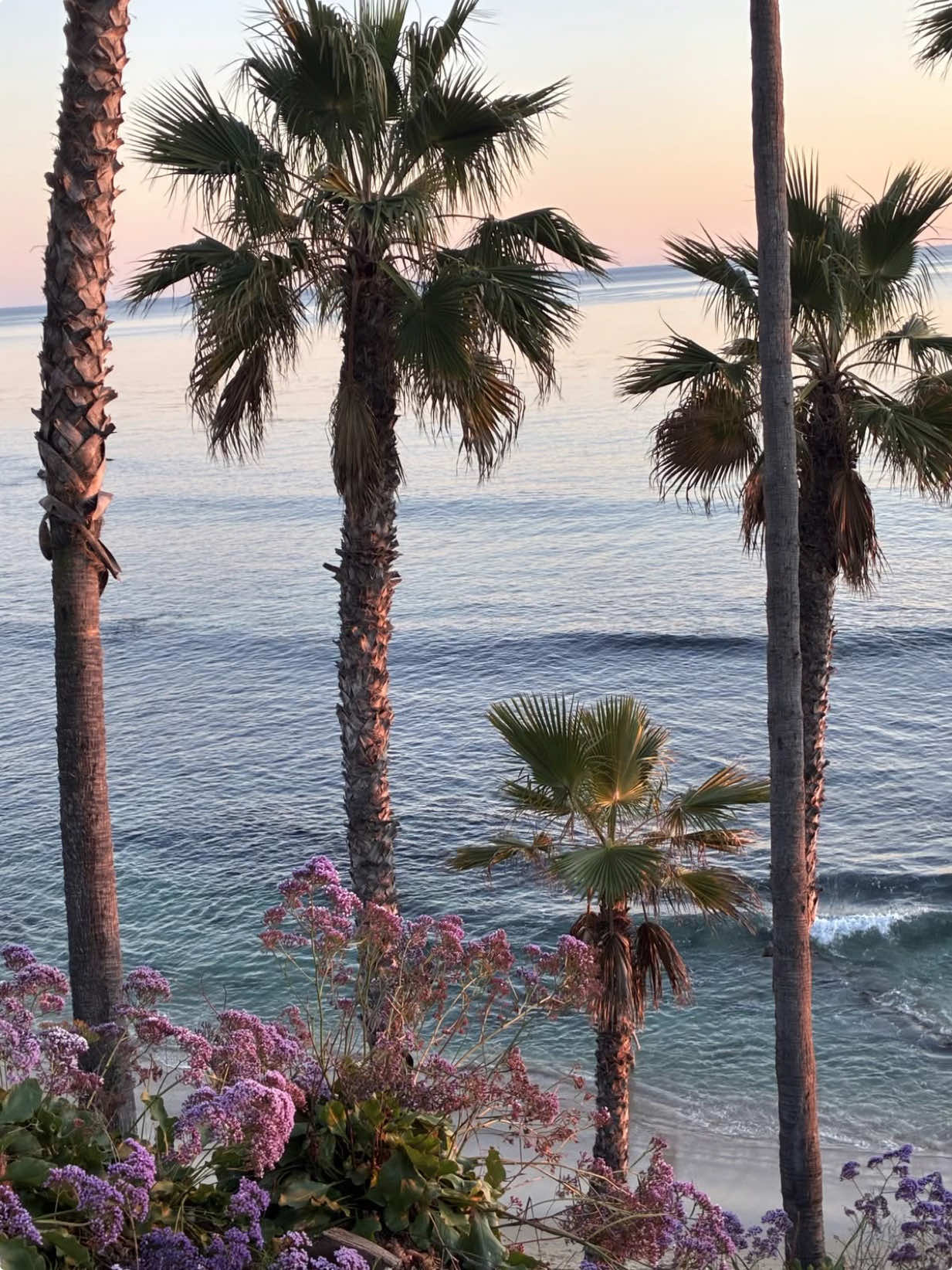 @🌺Travel Content🌴