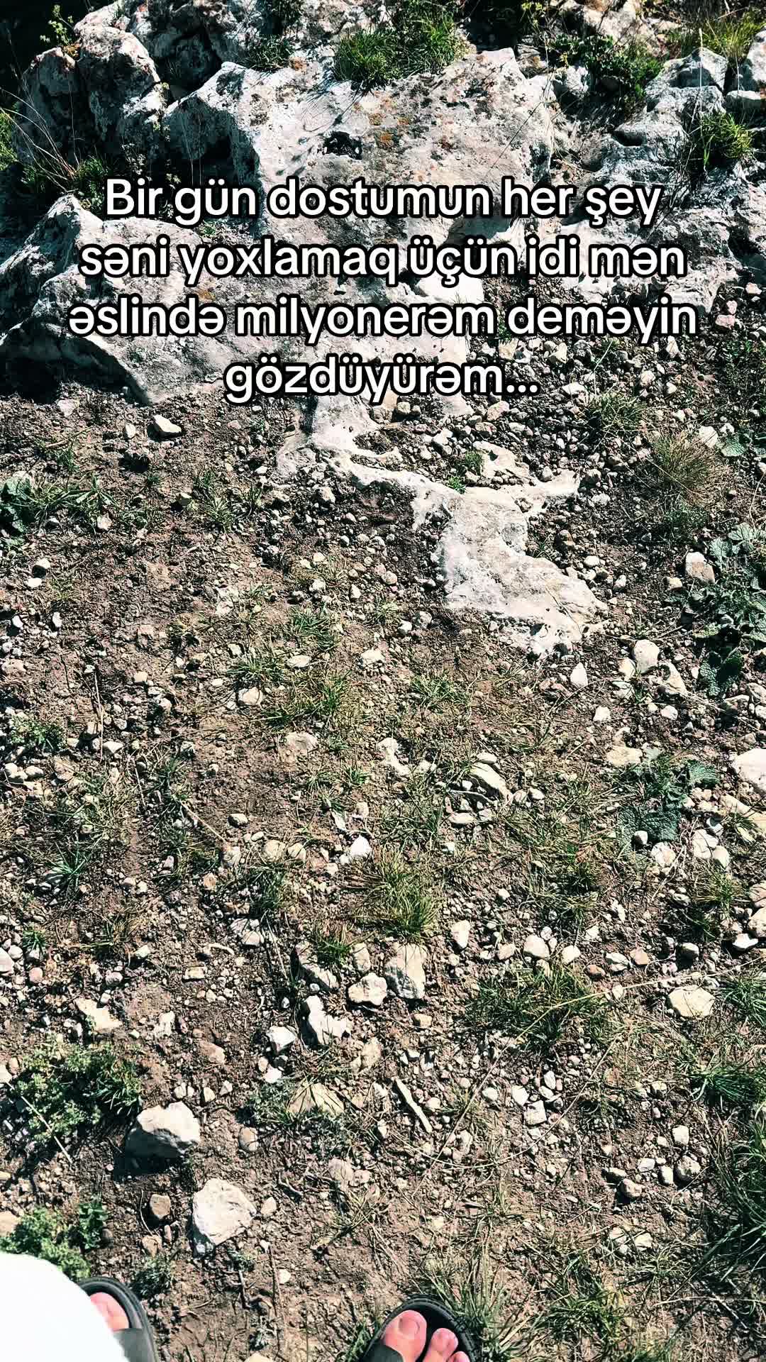 @DİMA ✅️