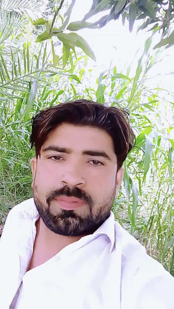 @abbasi