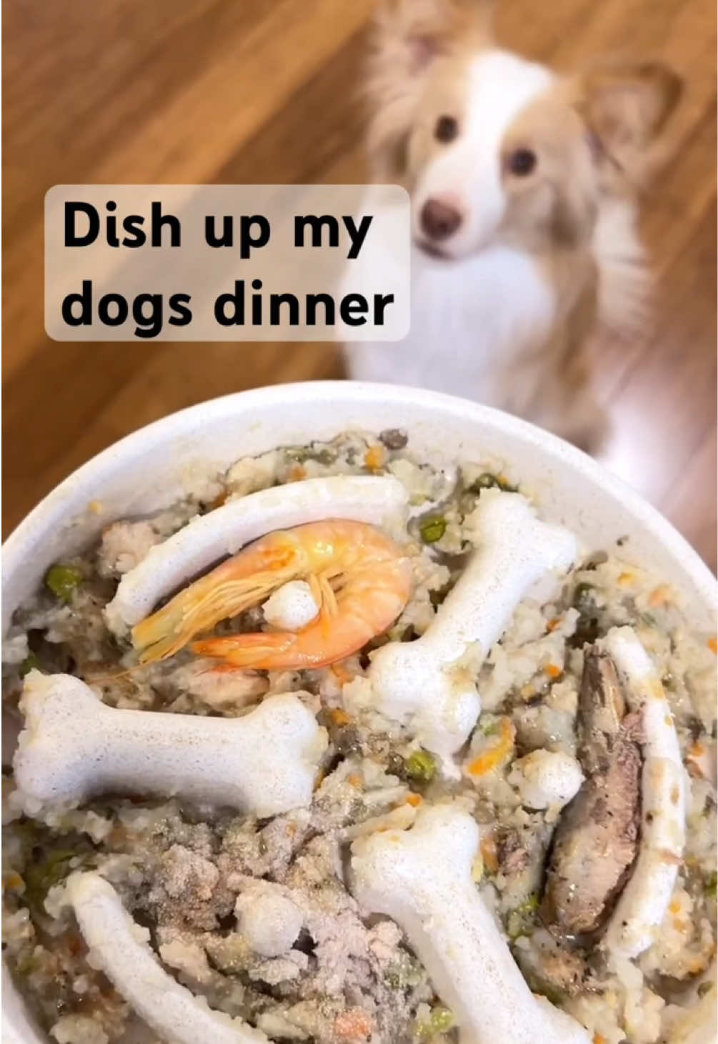 @The Eighth Salt