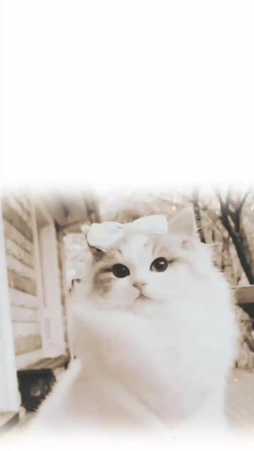 @🌼𝐒𝐮𝐝𝐡𝐢𝐫_𝐖𝐫𝐢𝟖𝐬🥀🕊️