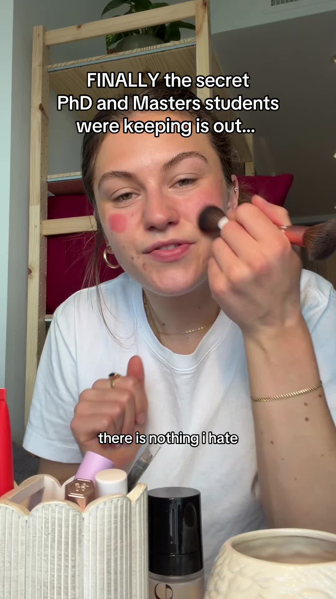 @veesvideodiaryy
