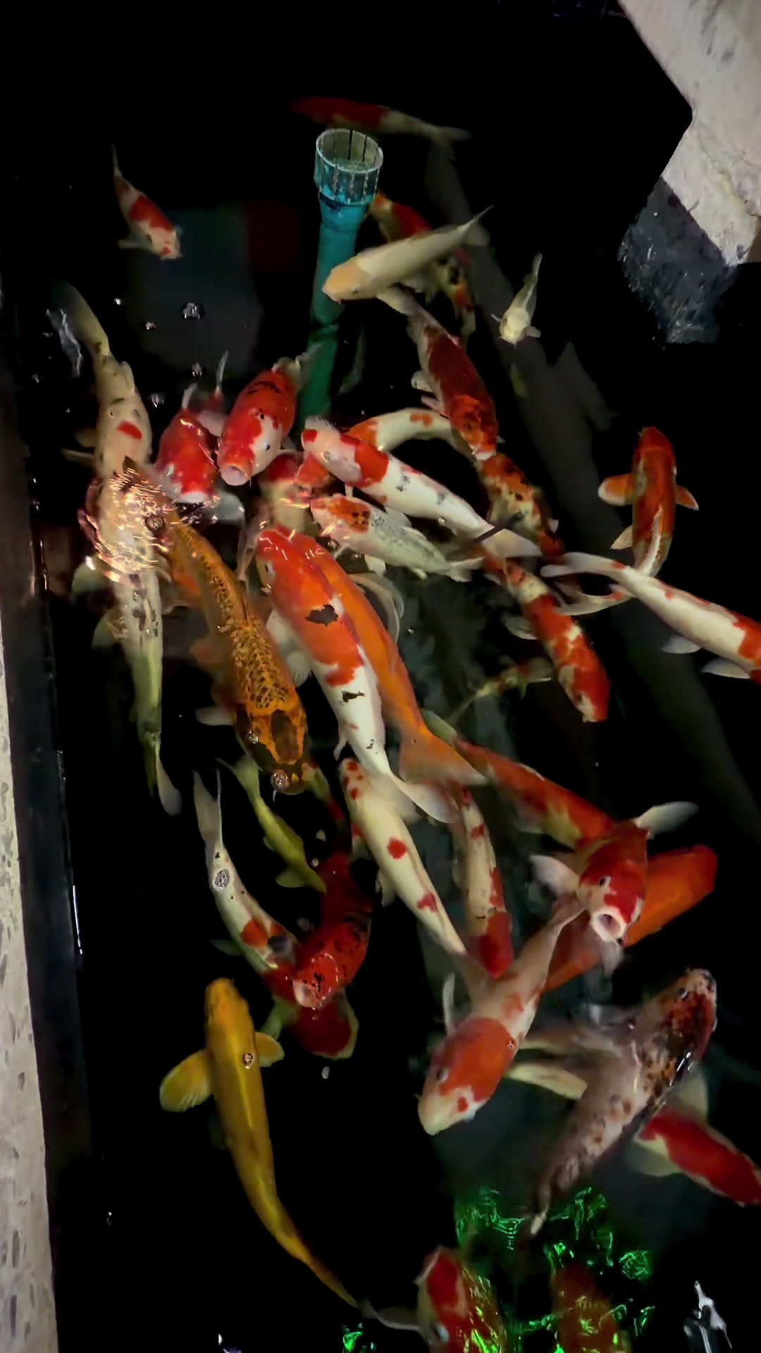 @Bongpheak 55555