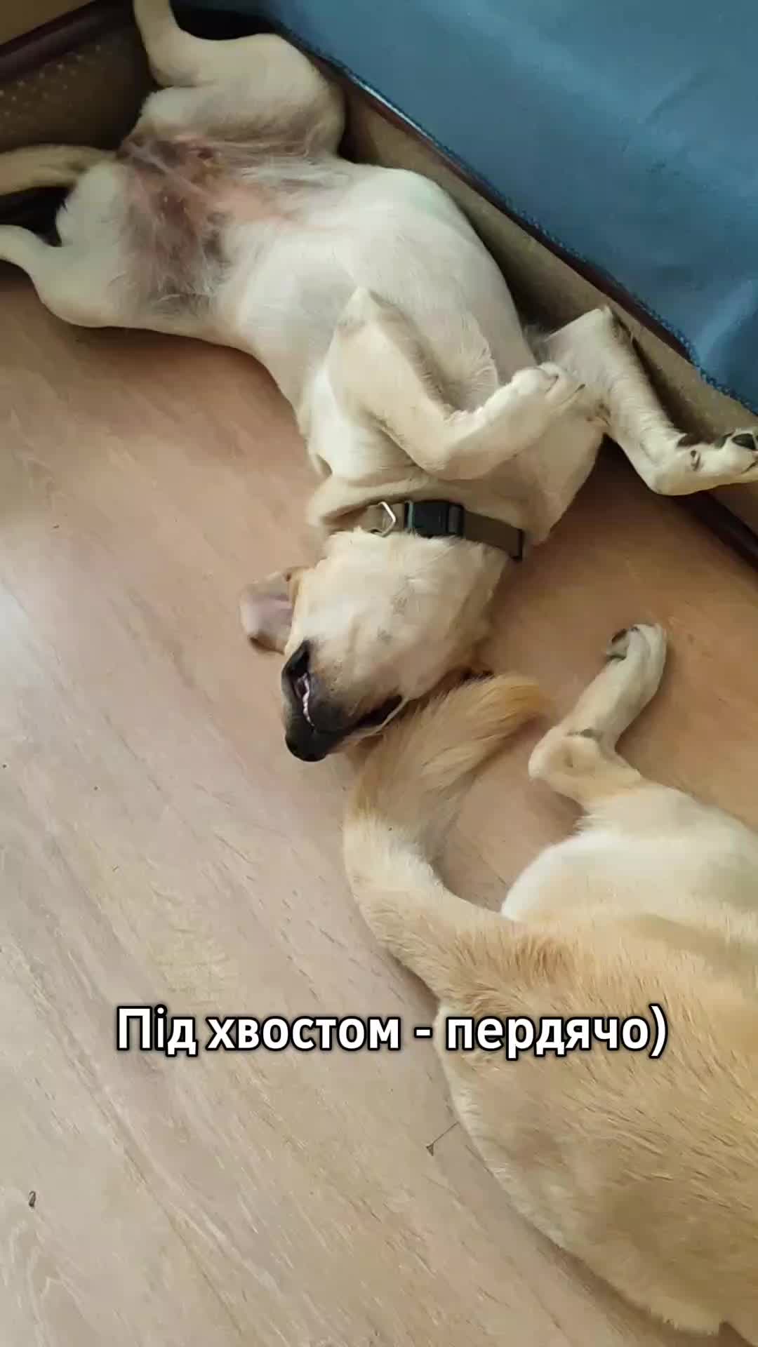 @Макс и Джесси