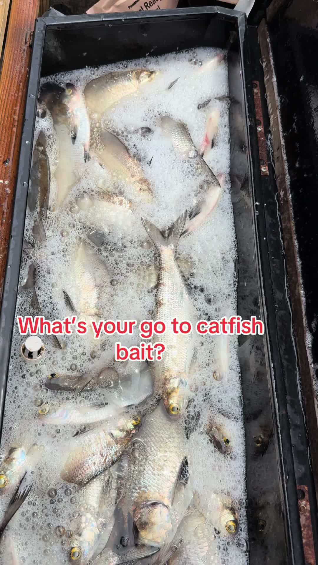 @Kentucky&ensp;Fishing