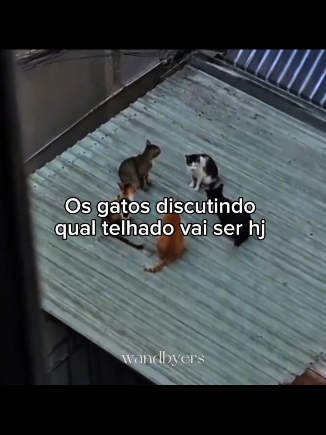 @wandbyers