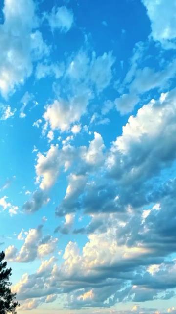 @🌟ᴹᴿ°᭄Dedy࿐8899🌟