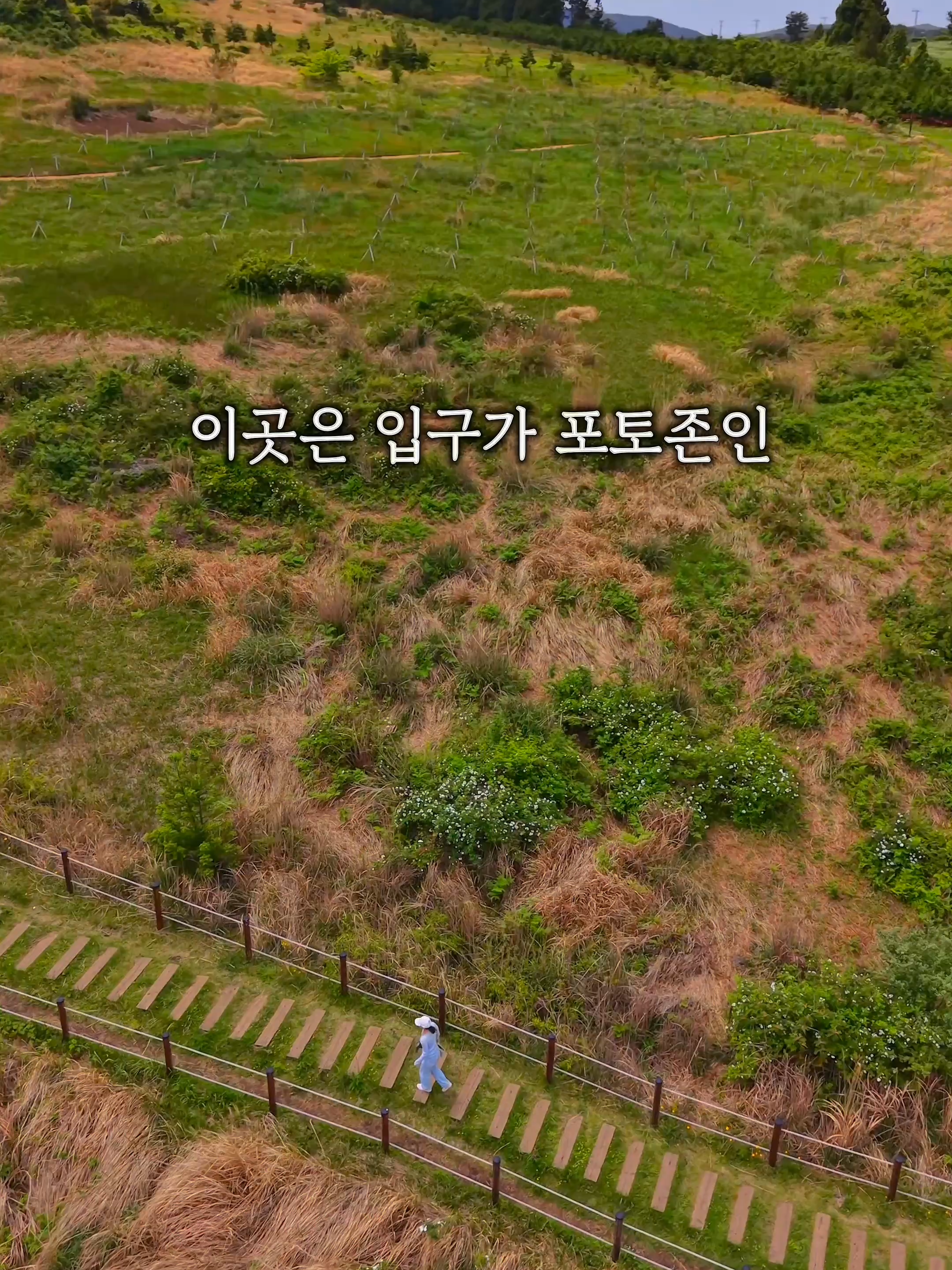 @제주도