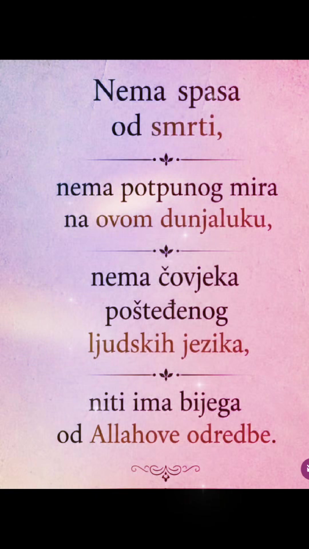 @Zümrüt 🌹🍀