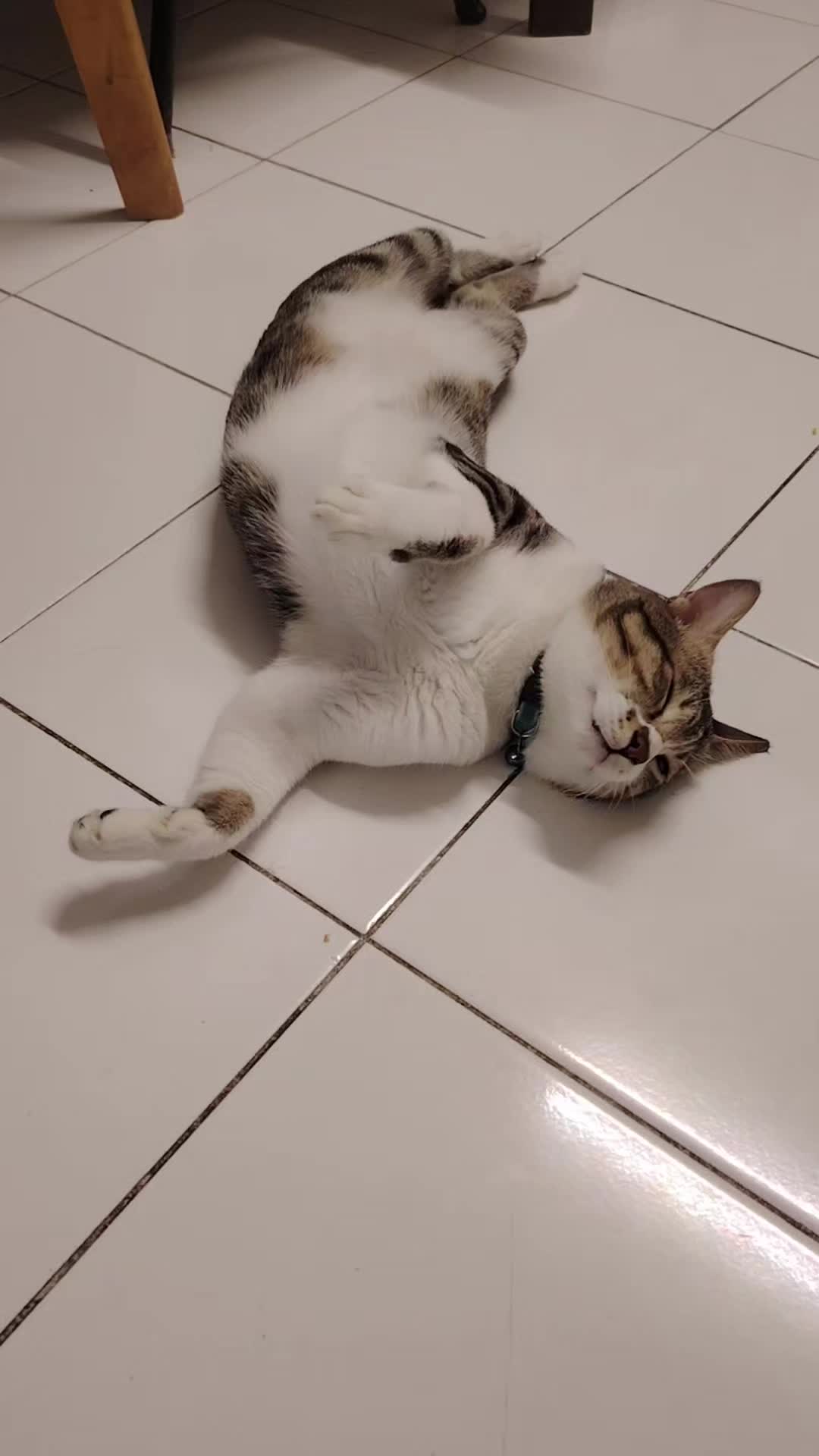 @๐บ๐๐๐๐ ๐ฏ๐๐๐๐๐งฟ