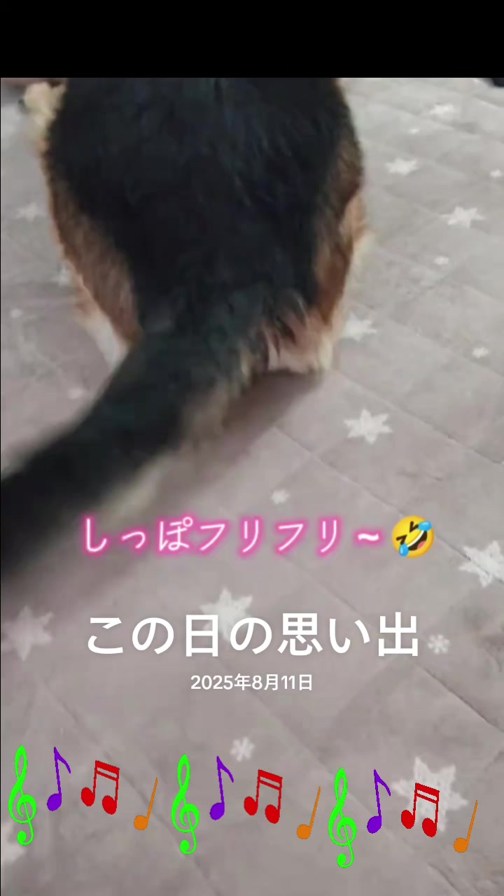 @ANIMAL♡M