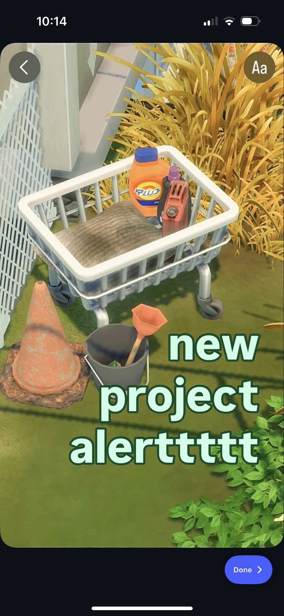 @𓍯𓂃𝕍𝔼𝕃𝕍𝕀𝔼