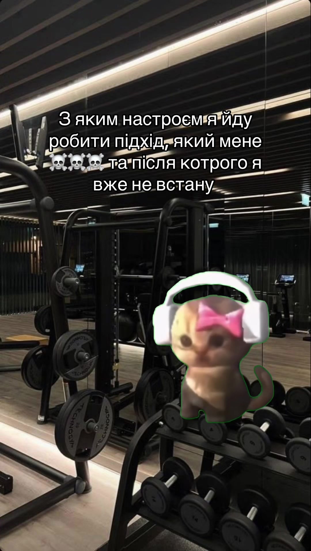 @Polina