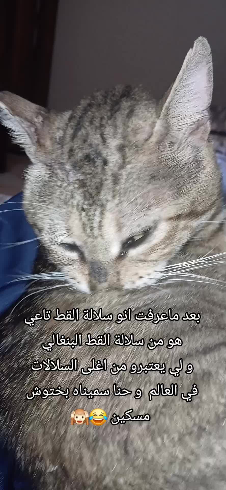 @๐ฉ๐ฟโค๏ธ๐ฅ
