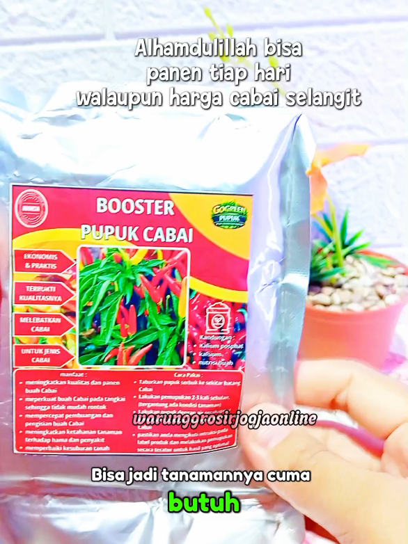 @warung grosir jogja online