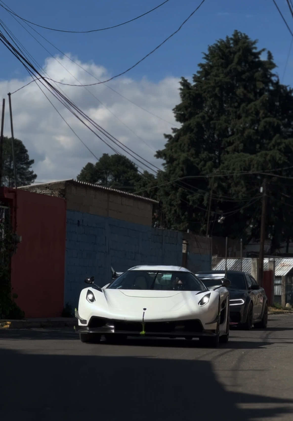 @Exotics.mx