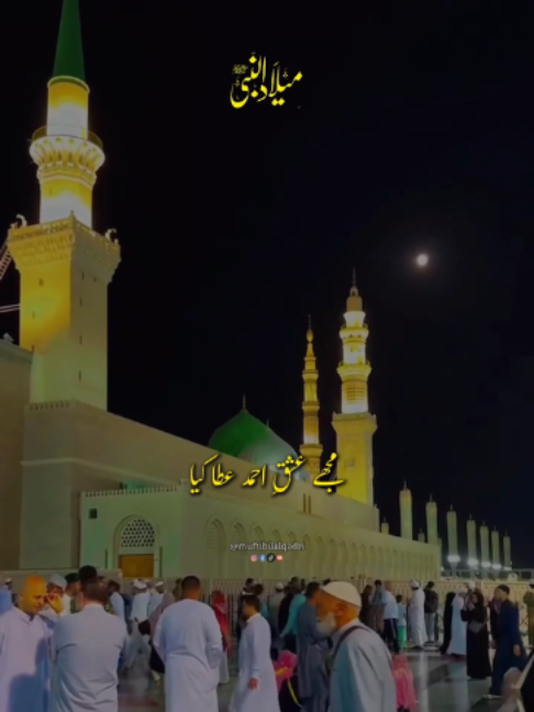 @Mufti bilal official