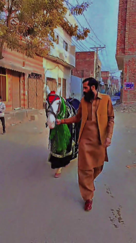 @Rana Jani