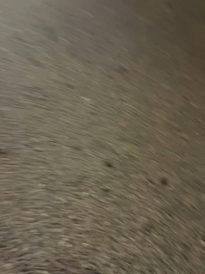 @Mshana