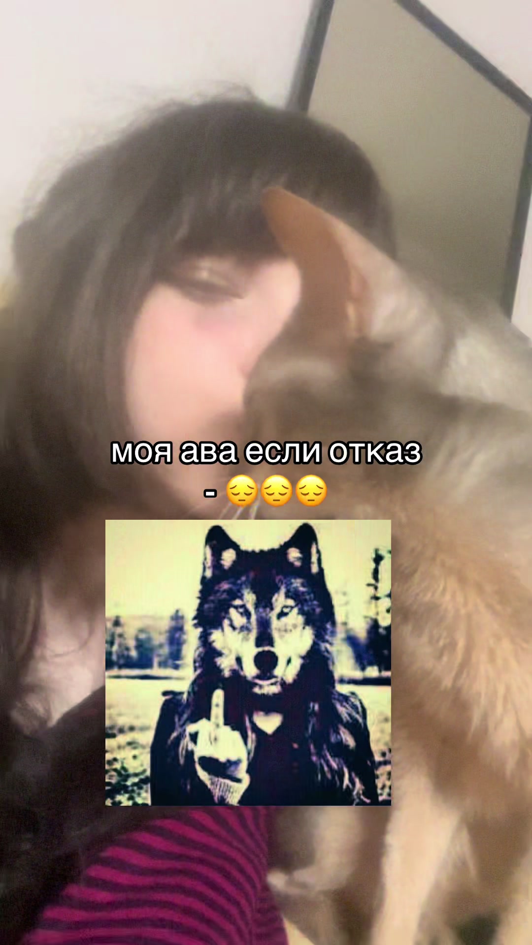 @whosaidmeow