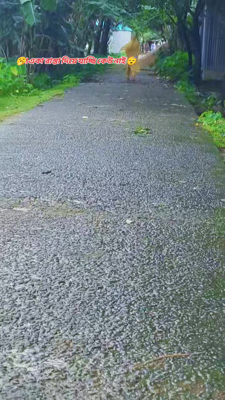@সুনামগঞ্জের পিচ্চ মেয়ে 💖🥰