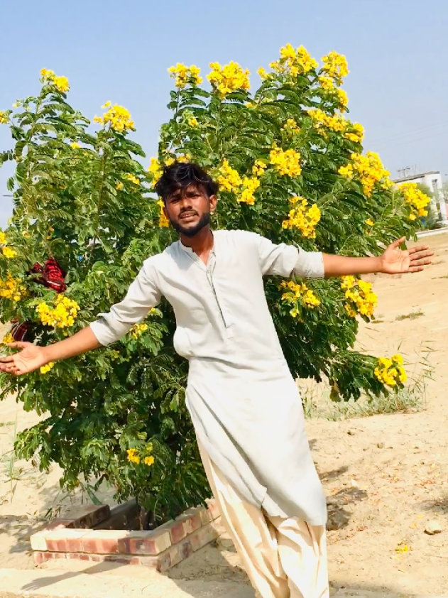 @Bhavesh rathor