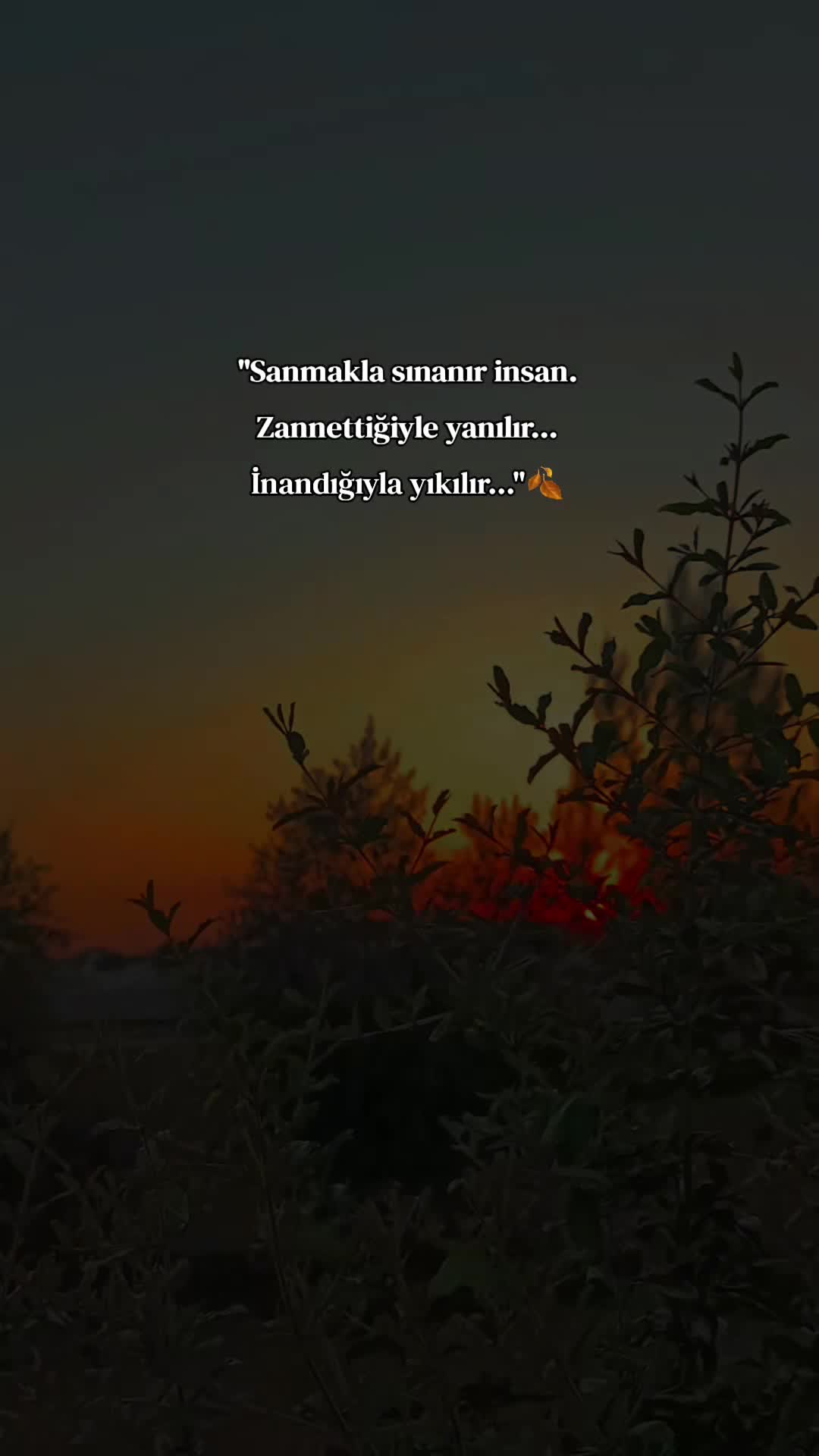 @𝐒 𝐓 𝐄 𝐑 𝐊 ✷