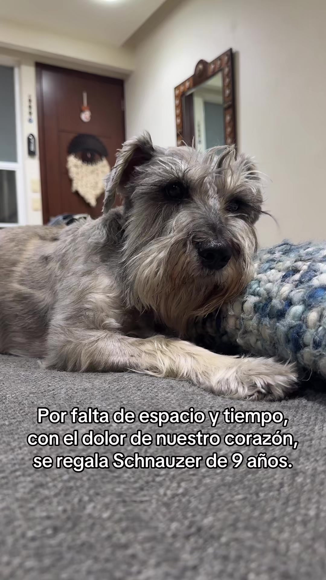 @cesardoroteoo