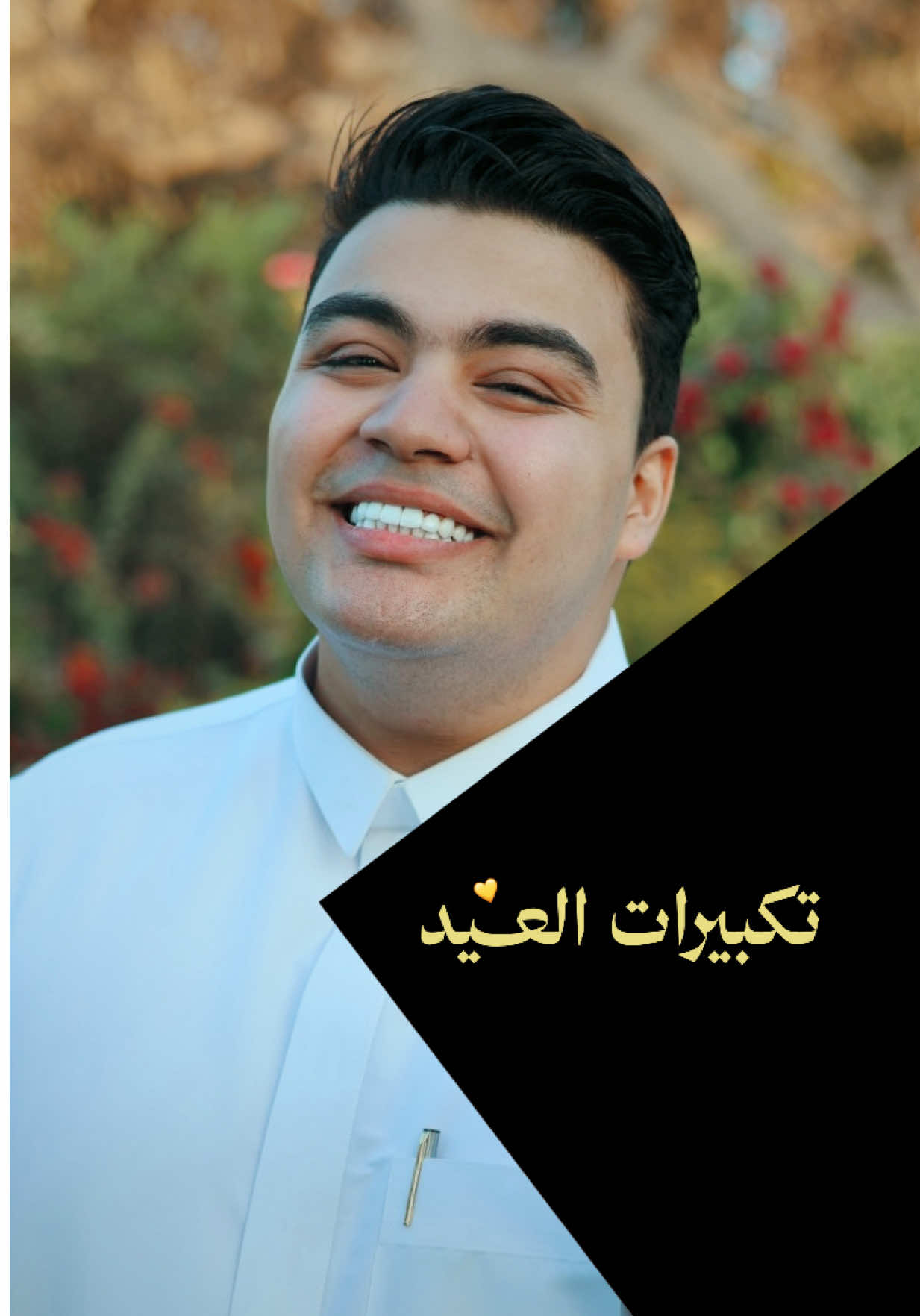 @Waleed Hany Ebrahim