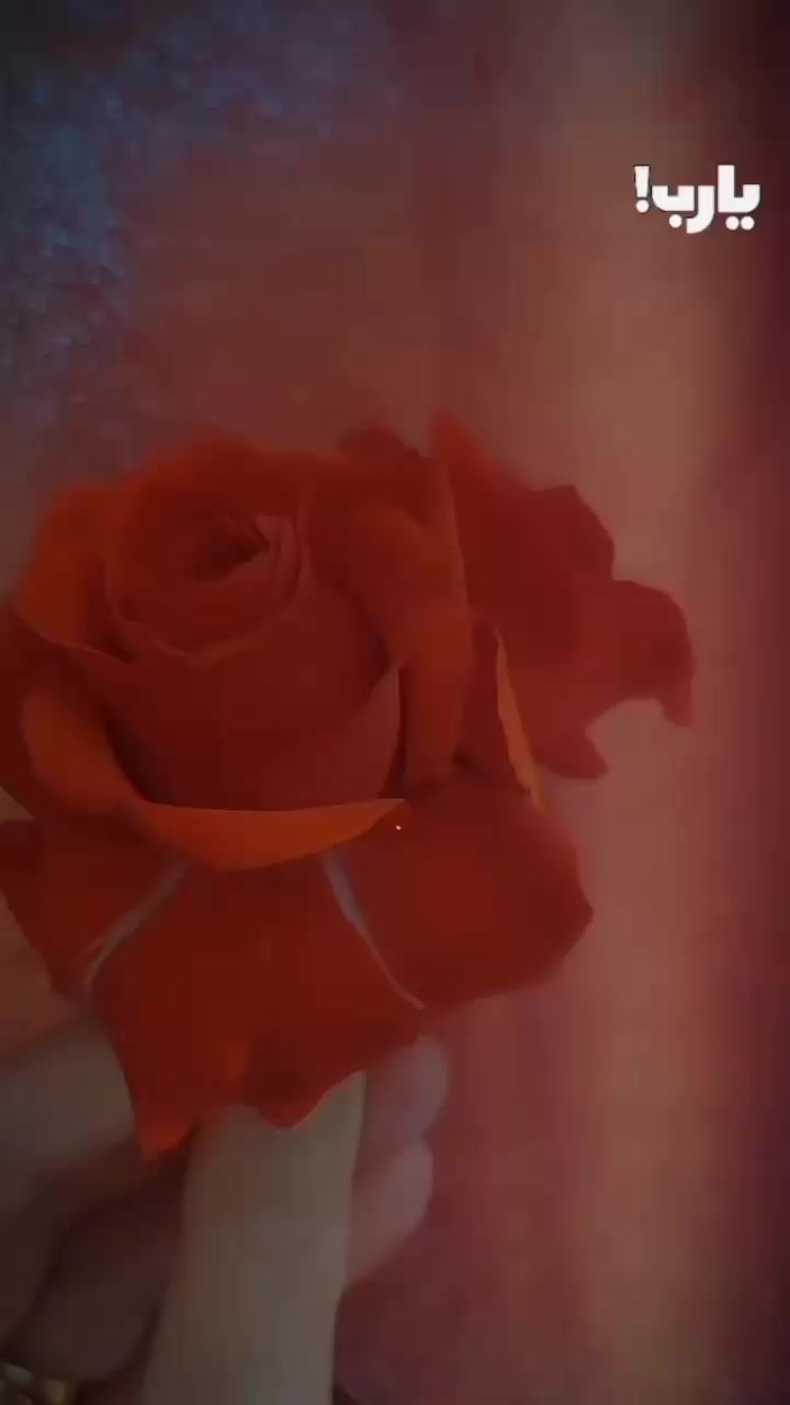 @نور سمى💗🇹🇳
