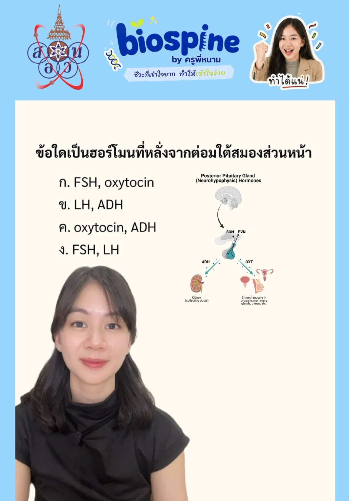 @Biospine by ครูหนาม