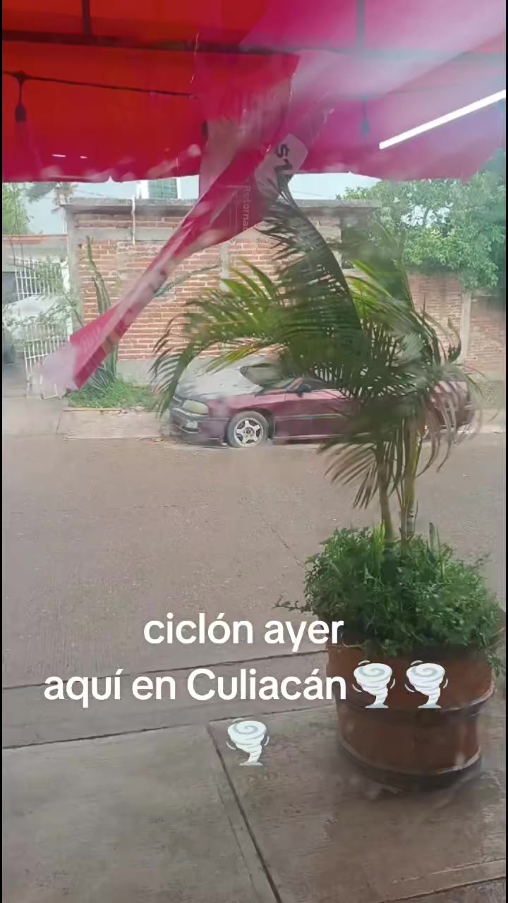 @alonsocotaquintero